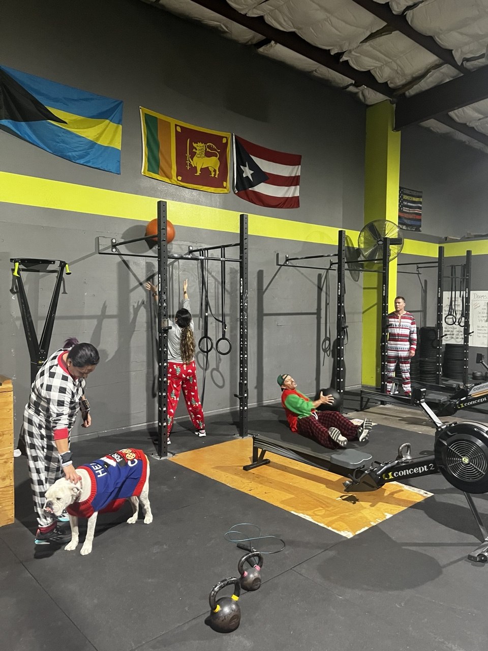 Winter Pajama Party wall balls with a dog in a sweater